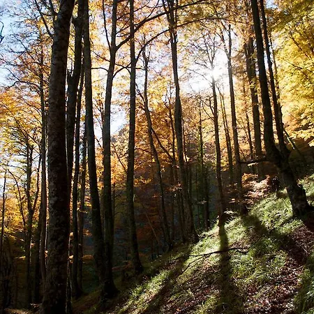 El Mirador De Fuentes Del Narcea Szálloda 2*