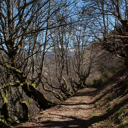 El Mirador De Fuentes Del Narcea Moncó